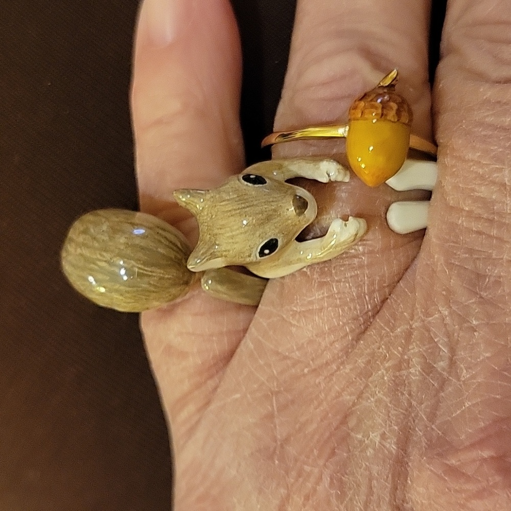 Mary Lou grey squirrel